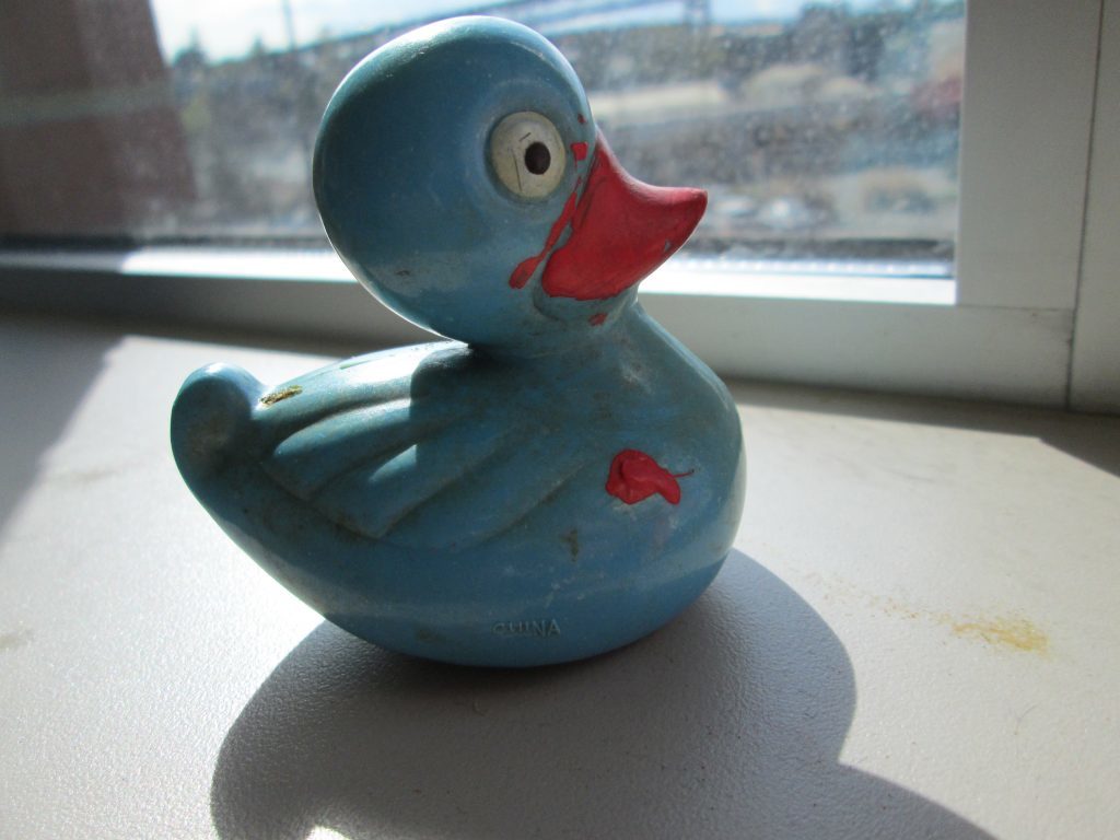 Blue Duck Profile