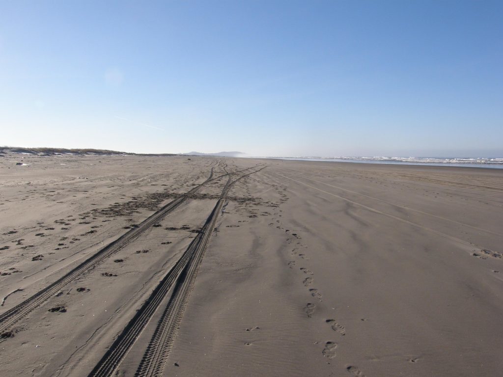 Tracks = yes for vehicles, humans and dogs on this survey.