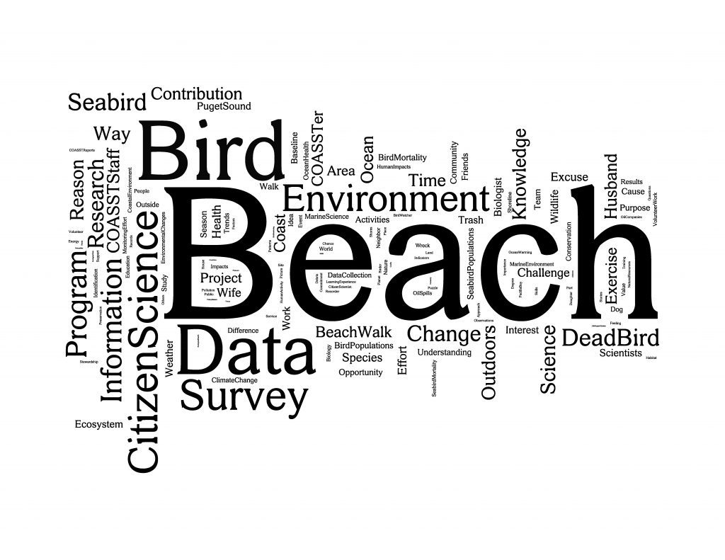 The winners: #1 Beach(es), #2 Bird(s), #3 Data.