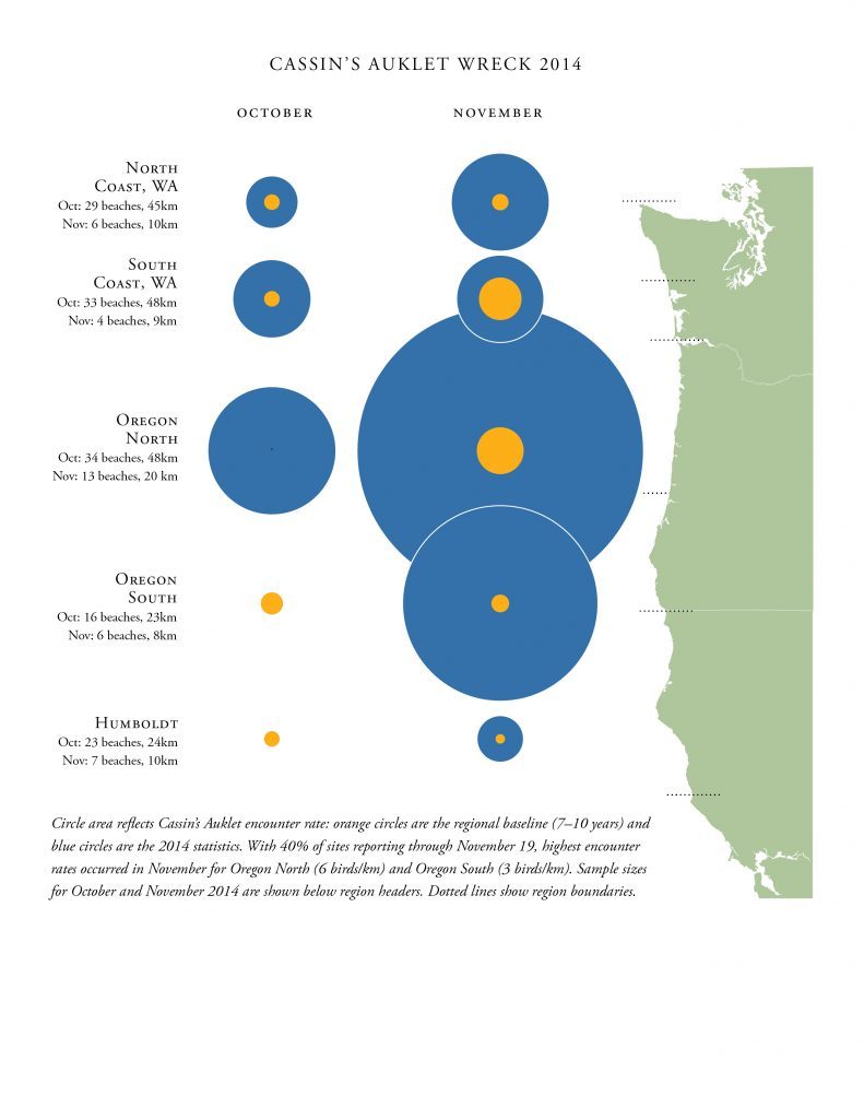 Cassin's Auklet wreck data as of November 21, 2014. 