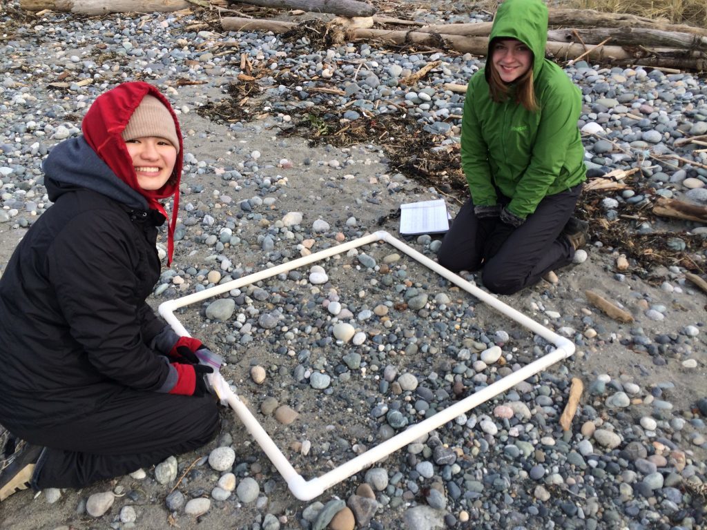  Interns Kaili and Abby survey for small marine debris at Discovery Park