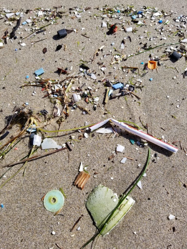 Using Marine Debris Photos - COASST