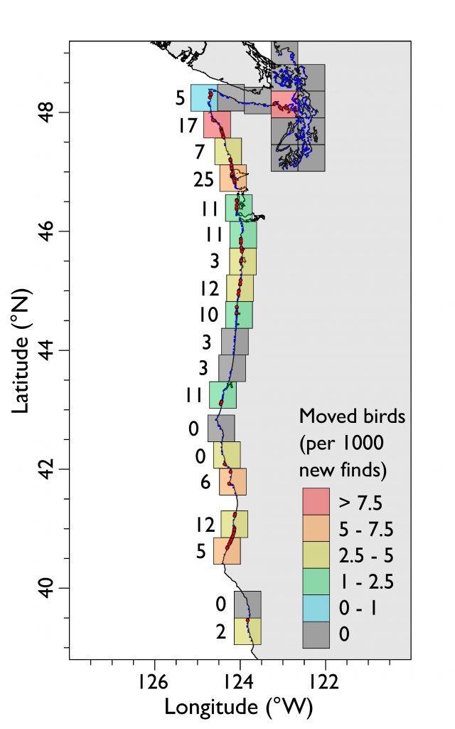 heatmap of birds moving