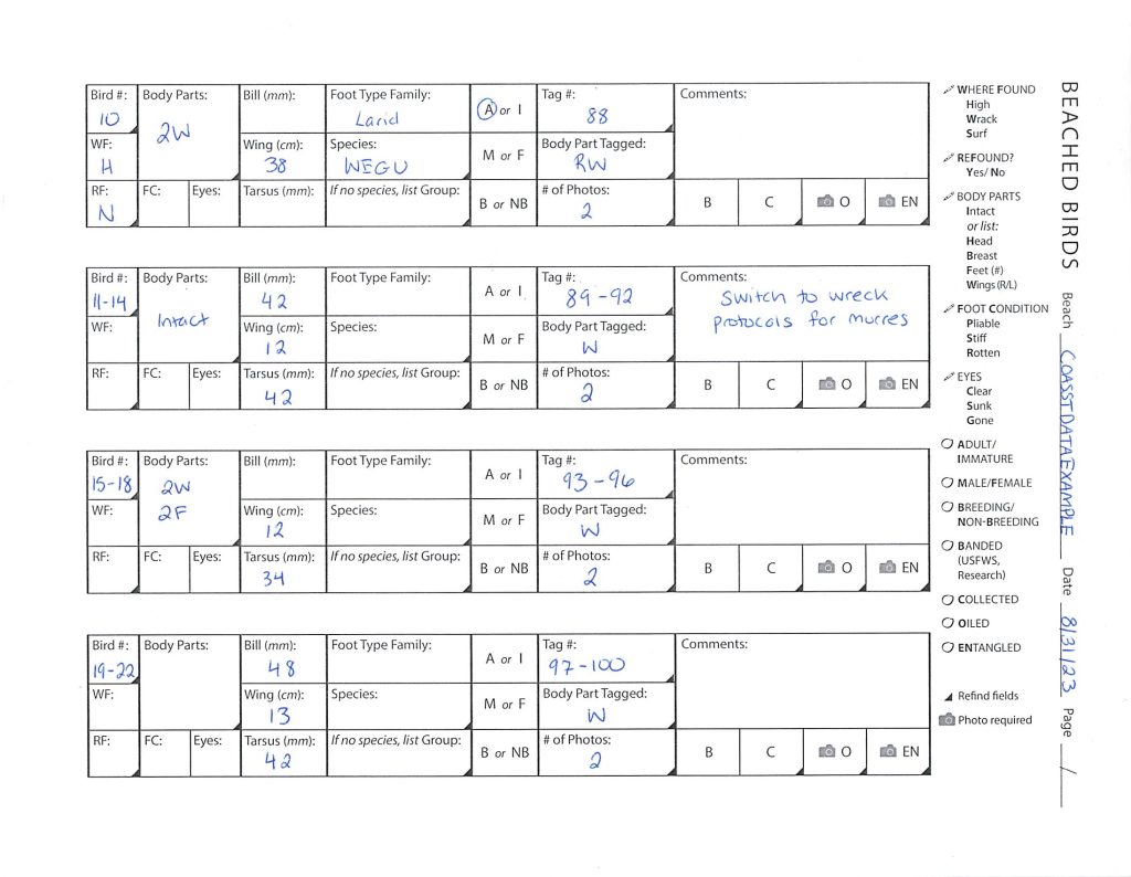 Example datasheet